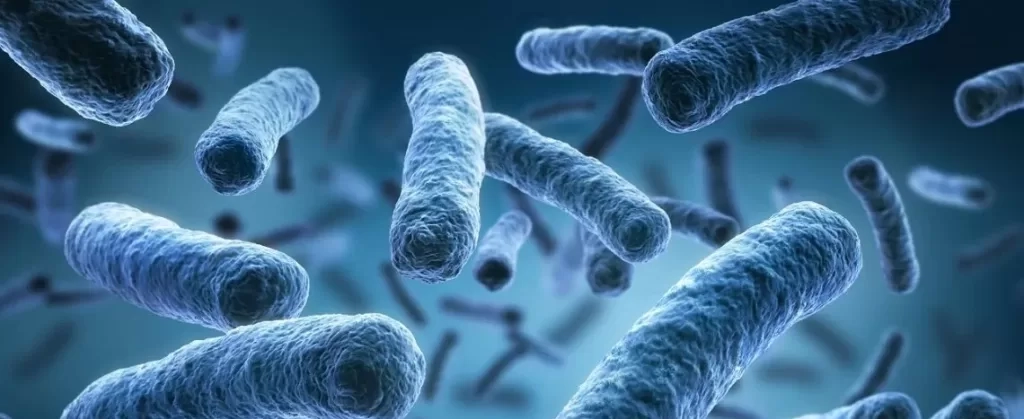 Legionella in the Workplace Health and Safety
