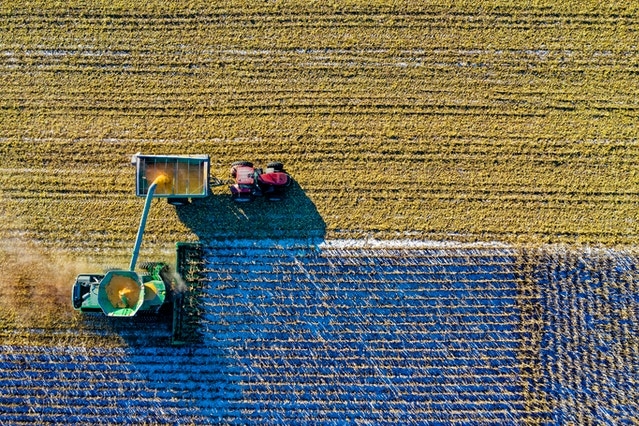 Health and Safety on Farms | An Employers Guide